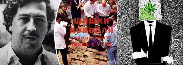 гидропоника Богородицк