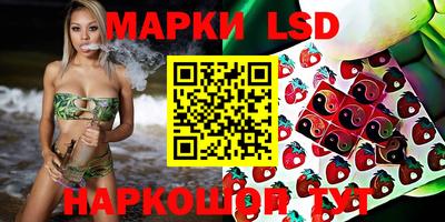 стафф Братск