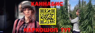 стафф Братск