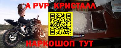 стафф Братск