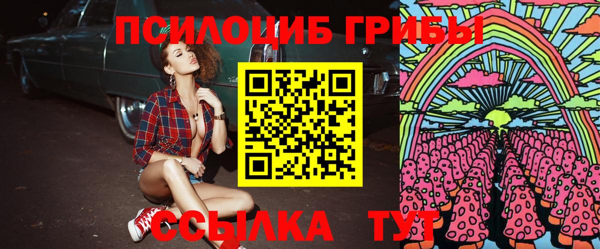 Галлюциногенные грибы Psilocybine cubensis Выборг