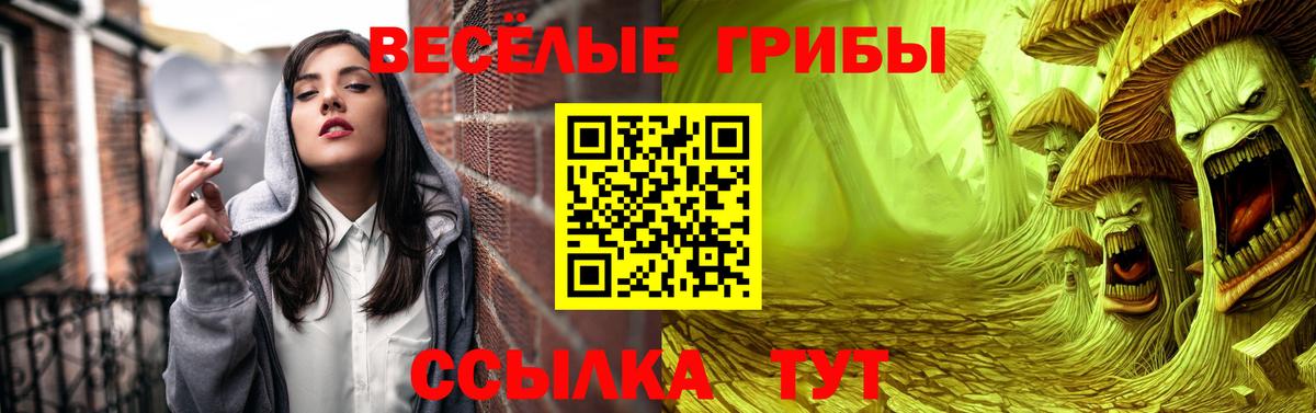 Выборг  Галлюциногенные грибы прущие грибы  Вход с VPN 